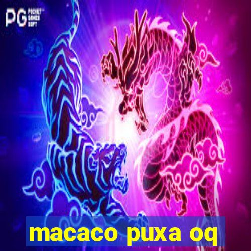 macaco puxa oq